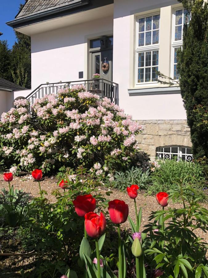 Villa Rosa - Sky Детмольд Екстер'єр фото